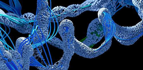 Understanding PTMs: Insights into Protein Regulation and Functional Implications